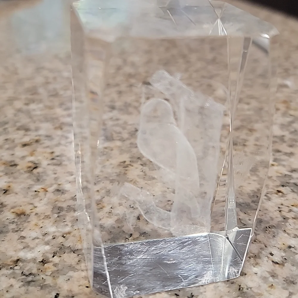 ✨️ Paperweight Glass Etched with Owl For Lighted Display 2